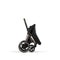 ePriam Pram 2022-2024